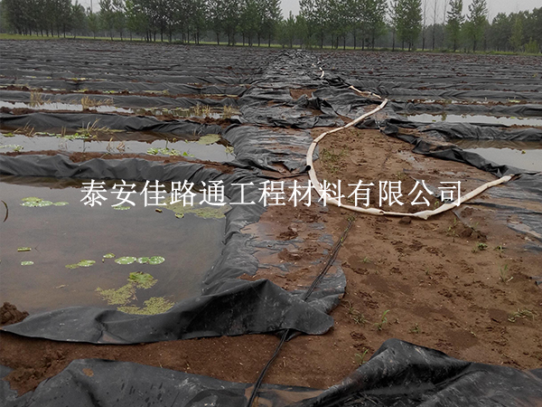 養(yǎng)殖防滲膜養(yǎng)護(hù)別大意，這些方法延長壽命